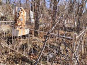 Жуков Николай Григорьевич