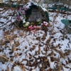 Полякова Антонина Григорьевна