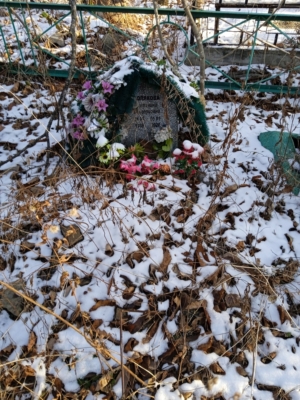5a80a7a0-9029-43fa-be54-2bf0d71c1927 Полякова Антонина Григорьевна