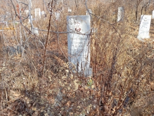 Кириченко Степан Трифонович