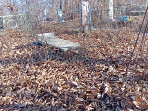 Неизвестно Неизвестно Неизвестно