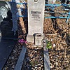Шахматова Анастасия Никитична