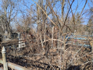 Саин Мирдиан Сафинович