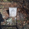 Гречко Вера Павловна