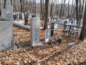 5d0dbf39-70fc-4048-8572-82f0a9432d5a Садыков Борис Гельманович