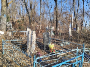 Докучаева Татьяна Александровна