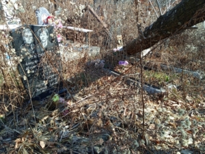 Тимофеев Александр Иванович