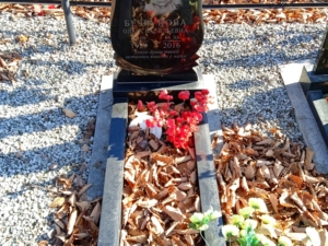 601720da-b2e0-4551-84c6-73a672b0bec8 Безрукова Ольга Васильевна