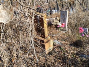 Николашин Федор Андреевич