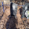 Рогоза Владимир Григорьевич