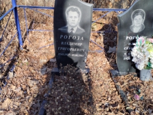 Рогоза Владимир Григорьевич