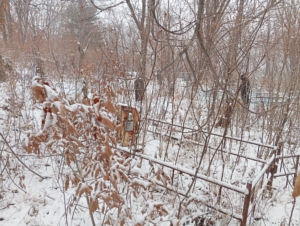 Павлюк Светлана Анатольевна