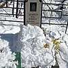 Калинина Анна Ивановна