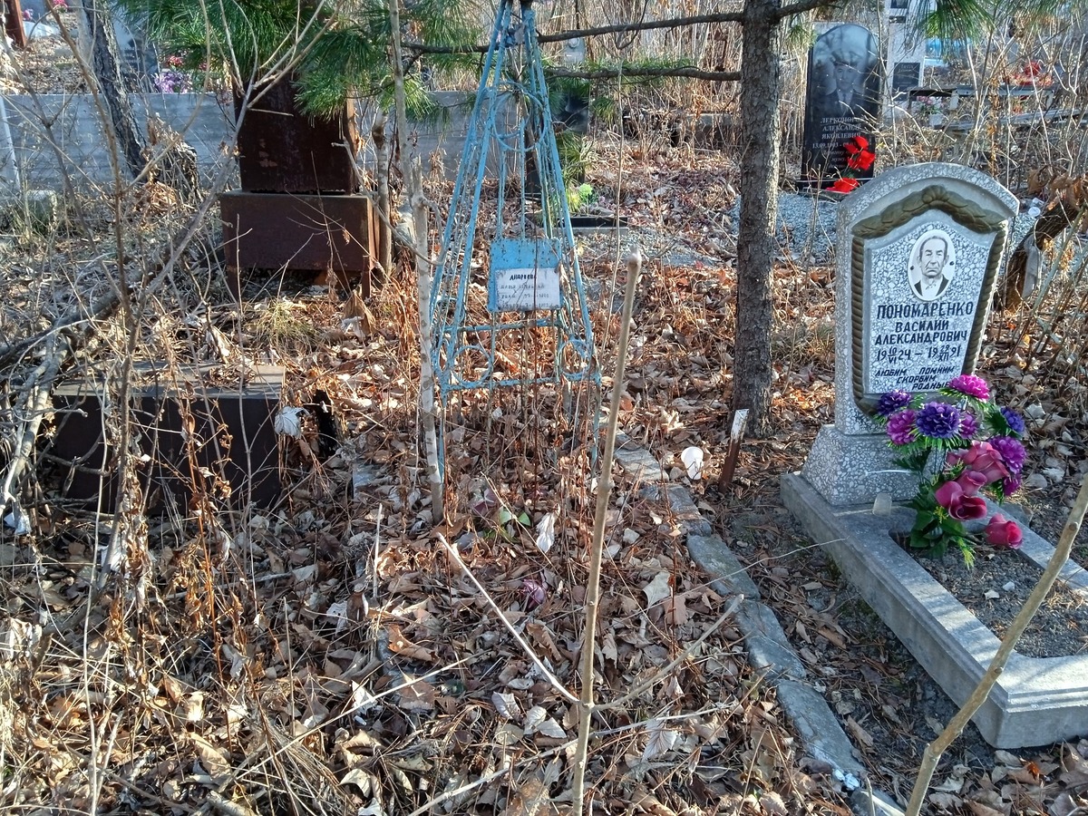 Андреева Дарья Петровна