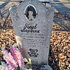 Голуб Варечка Неизвестно