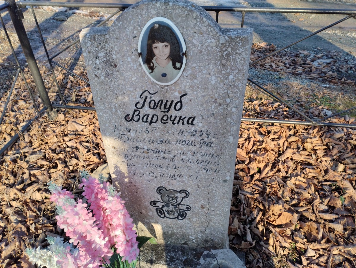Голуб Варечка Неизвестно