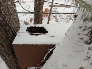 Неизвестно Неизвестно Неизвестно