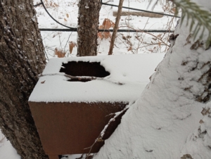 Неизвестно Неизвестно Неизвестно