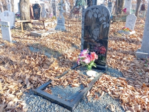 Колкова Ирина Владимировна