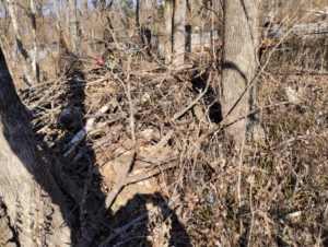 Неизвестно Неизвестно Неизвестно