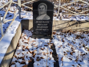 Шабельник Виталий Иванович