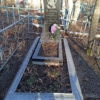 Платонова Елена Григорьевна