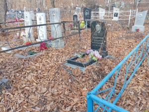 6348f2d3-b04d-47db-939c-2c7eb13c87ec Бобров Николай Васильевич