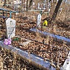 Мироненко Александр Павлович