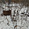 Неизвестно Неизвестно Неизвестно