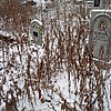 Буйских Евдокия Васильевна