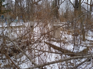 Неизвестно Неизвестно Неизвестно