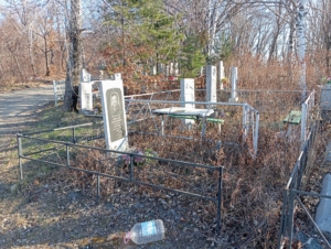 Грицута Николай Демьянович