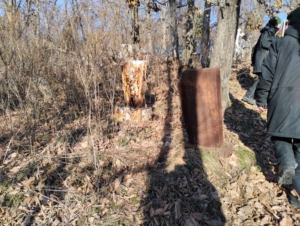 651e47d7-18dc-4d12-a209-2df4411bff94 Неизвестно Неизвестно Неизвестно