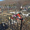 Терещёнок Владимир Васильевич