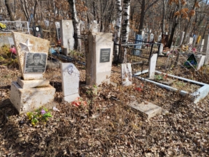 65c54a64-78bb-4798-81de-5981914381c8 Воронкина Светлана Николаенва