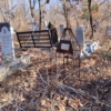 Головко Ольга Викторовна