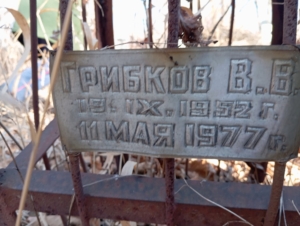 Грибков В В