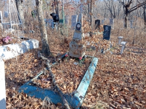 Ушакова Елена Ивановна