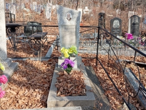 66716315-af8f-40c6-a05f-b15b98b45341 Гамбашидзе Георгий Ильич