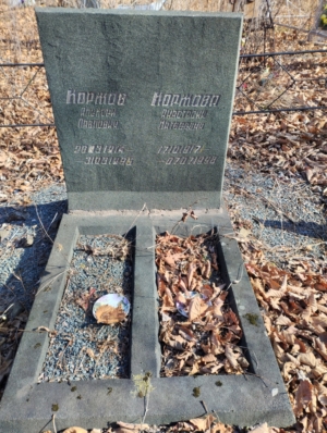 668400c3-486f-4648-acd7-bb48085e821b Коржова Анастасия Матвеевна