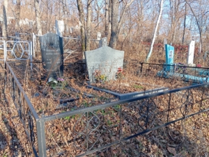 Лазарева Екатерина Дмитриевна