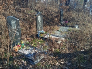 677f06e3-f291-42a5-904b-765a55164863 Ушакова Мария Васильевна