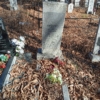 Козлова Лидия Петровна