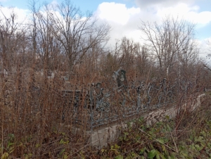 Мелехова Людмила Ивановна