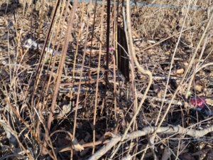 Неизвестно Неизвестно Неизвестно