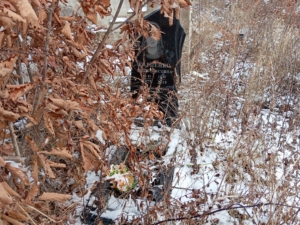 Карпенко Яна Борисовна