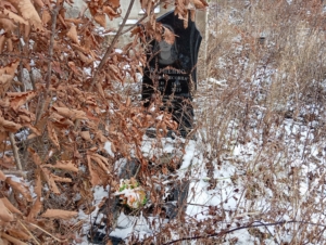 Карпенко Яна Борисовна