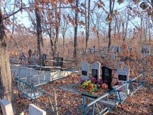 Синягина Людмила Александровна