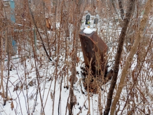 Неизвестно Неизвестно Неизвестно