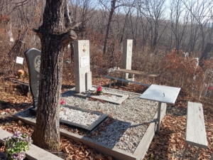 Ивашко Ольга Васильевна